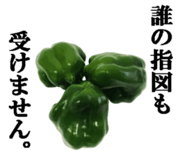 Green pepper2. sticker #14123146