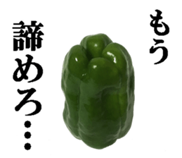 Green pepper2. sticker #14123152
