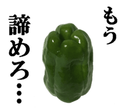 Green pepper2. sticker #14123152