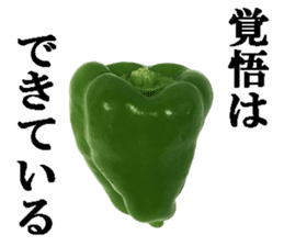 Green pepper2. sticker #14123160