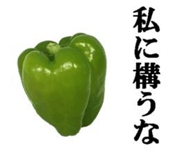 Green pepper2. sticker #14123164