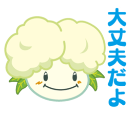 Dish sticker of a box lunch sticker #14123448