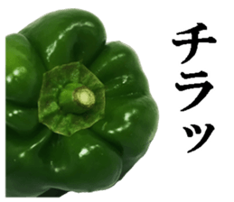 Green pepper3. sticker #14123470
