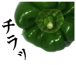 Green pepper3. sticker #14123471