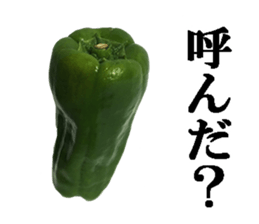 Green pepper3. sticker #14123472