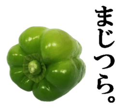 Green pepper3. sticker #14123483