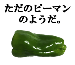 Green pepper3. sticker #14123484