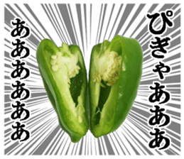 Green pepper3. sticker #14123486