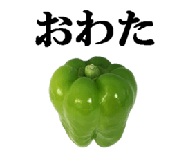 Green pepper3. sticker #14123487