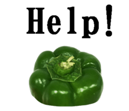 Green pepper3. sticker #14123488