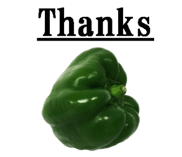 Green pepper3. sticker #14123490