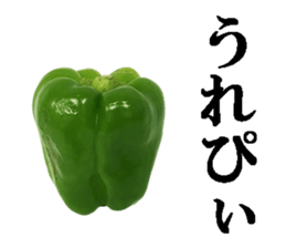Green pepper3. sticker #14123491