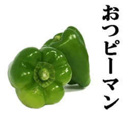 Green pepper3. sticker #14123492