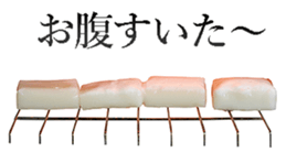 This is Mochi. sticker #14123874