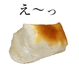 This is Mochi. sticker #14123885