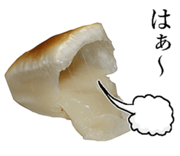 This is Mochi. sticker #14123886