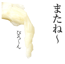 This is Mochi. sticker #14123888