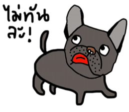 Ma Baa - The crazy dog III sticker #14125046
