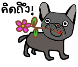 Ma Baa - The crazy dog III sticker #14125056
