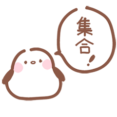 A white bird Long-tailed Bushtit