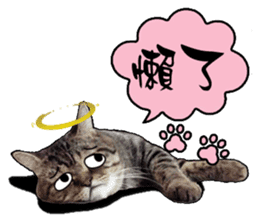 Cats greeting words sticker #14126932