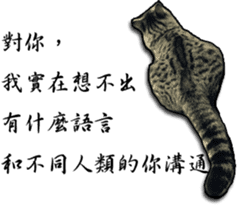 Cats greeting words sticker #14126933
