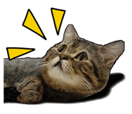Cats greeting words sticker #14126938