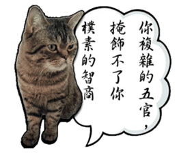 Cats greeting words sticker #14126945