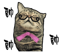 Cats greeting words sticker #14126946