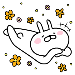 Bunny lying down English