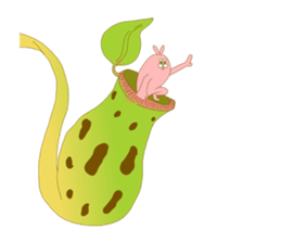 Medium mammal pink9 sticker #14128260