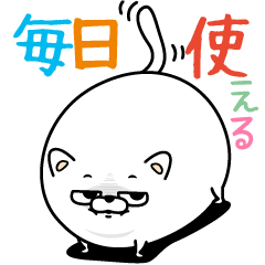 Cat eyes are not laughing3