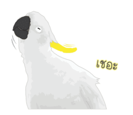 Hello Cockatoo sticker #14129789