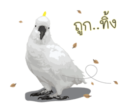 Hello Cockatoo sticker #14129796
