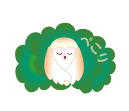 Wonderful Owls sticker #14129947