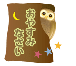 Wonderful Owls sticker #14129958