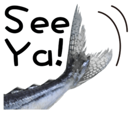 Fresh fish sticker sticker #14131410