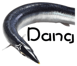 Fresh fish sticker sticker #14131415