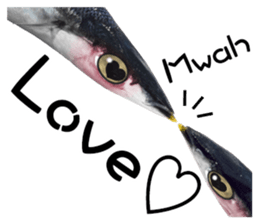 Fresh fish sticker sticker #14131416