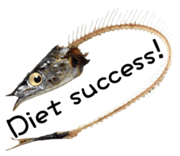 Fresh fish sticker sticker #14131417