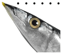 Fresh fish sticker sticker #14131418