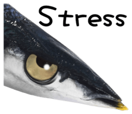 Fresh fish sticker sticker #14131419