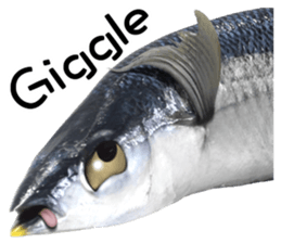 Fresh fish sticker sticker #14131420