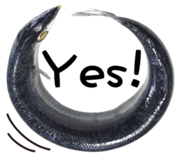 Fresh fish sticker sticker #14131422