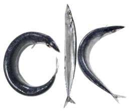 Fresh fish sticker sticker #14131424