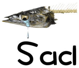 Fresh fish sticker sticker #14131425