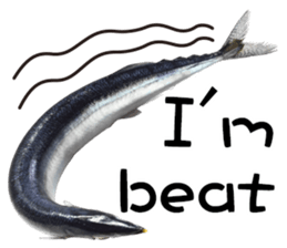 Fresh fish sticker sticker #14131427