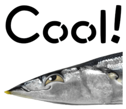 Fresh fish sticker sticker #14131428