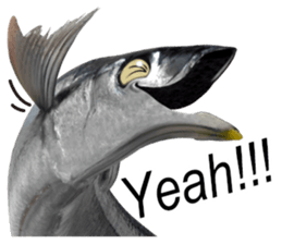 Fresh fish sticker sticker #14131429