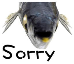 Fresh fish sticker sticker #14131432